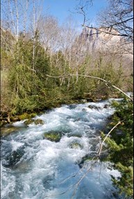 DSC_0150_0001.jpg