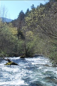 DSC_0066_0001.jpg