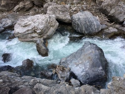 IMG_4230.jpg