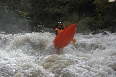 Philippe Braud.JPG