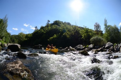 DSC_0739.JPG