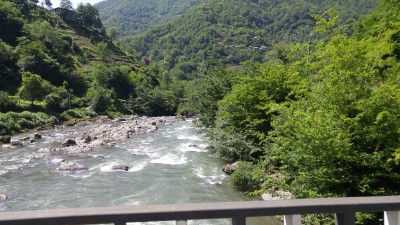 20180529_150716.jpg
