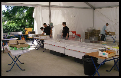 la cantine.jpg