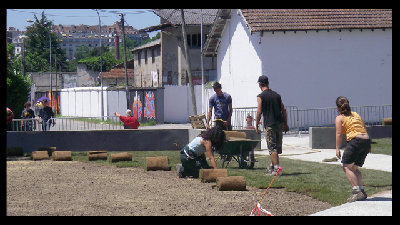 herbe.jpg