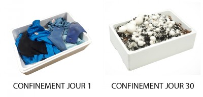 Sans titre-1.jpg