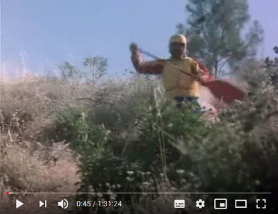 Screenshot_2020-11-27 White Water Rebels.png