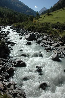 DSC_4601 - Copie.JPG