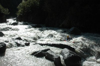 DSC_4614 - Copie.JPG