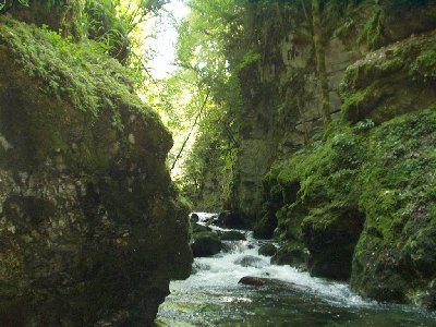 P1010054.JPG
