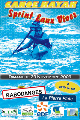 AfficheSIR Vweb.jpg