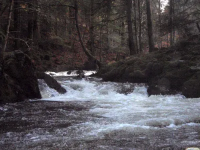 au fil de l'eau