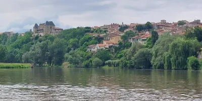 Les Madeleines : de bons souvenirs pour les débutants!
