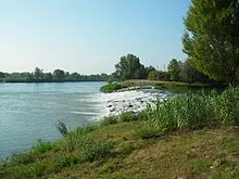 Embouchure de l'Ouvèze, qui se jette dans le Rhône