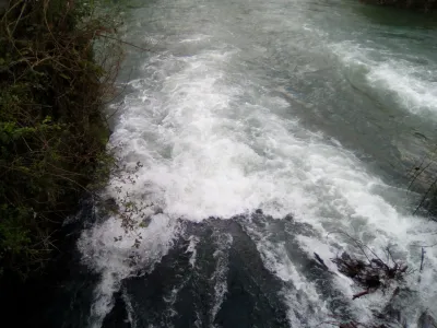 Le rouleau RG
