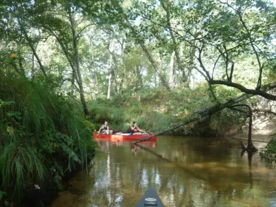 La "Forêt Galerie", végétation dense, et petite rivière sinueuse