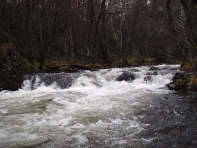 au fil de l'eau