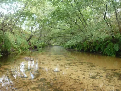 Dans la partie haute "Grande Leyre" l'eau est limpide et la rivière est silencieuse dû au sable présent au fond.