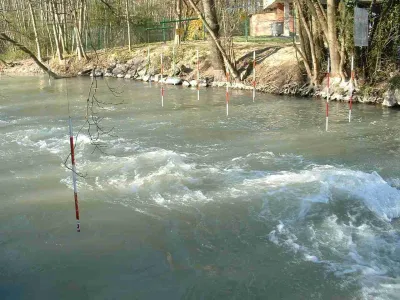 La veine en haut du bassin