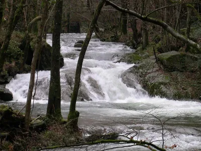 Petit toboggan de 3m au milieu du parcours.
