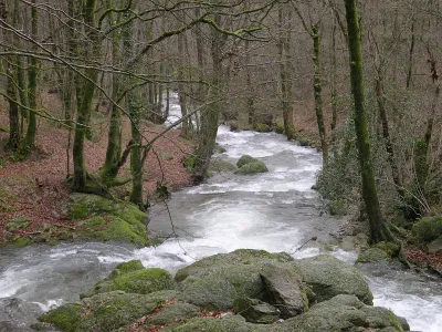 Paysage des derniers km du parcours. Une route sur la droite en sortant d'Albine permet de repérer ce tronçon.