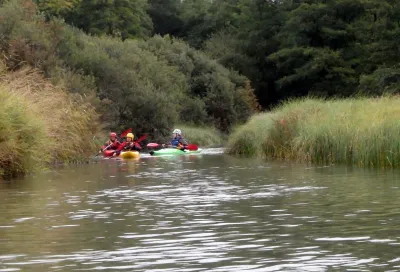 P1 - Dans les marais de la Versoix