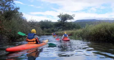 P1 - Dans les marais de la Versoix au pied du Jura