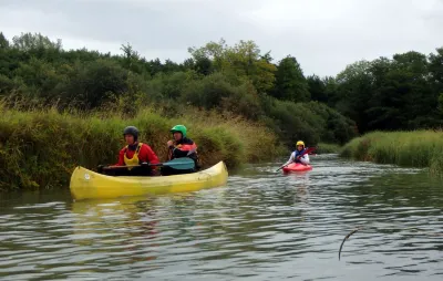 P1 - dans les marais de la Versoix