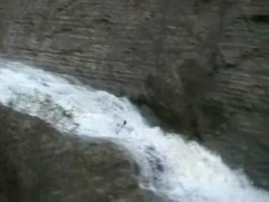 la tounga (image de vidéo)