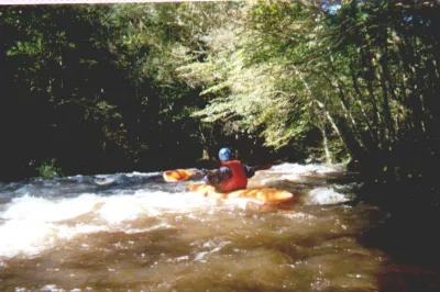Le saut de la truite