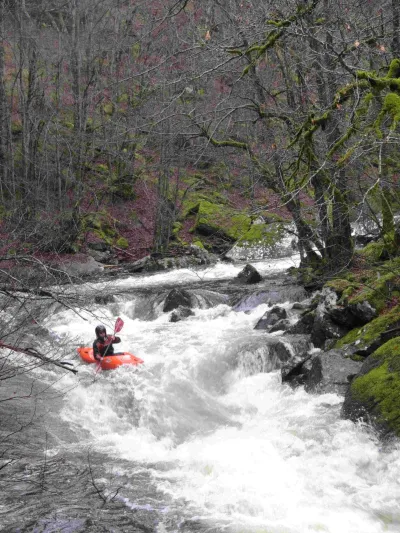 Rapide dans le premier tier du parcours
