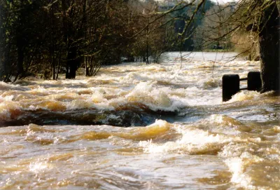 Le bas du bassin au niveau noir