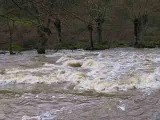veine du père en crue