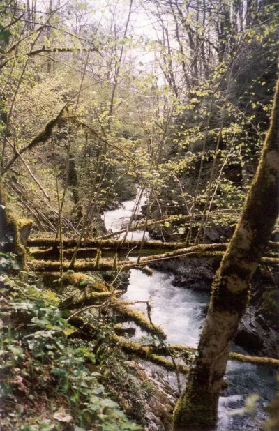 Vue d'ensemble de la gorge pendant le repérage (ie d'en haut des paroies).