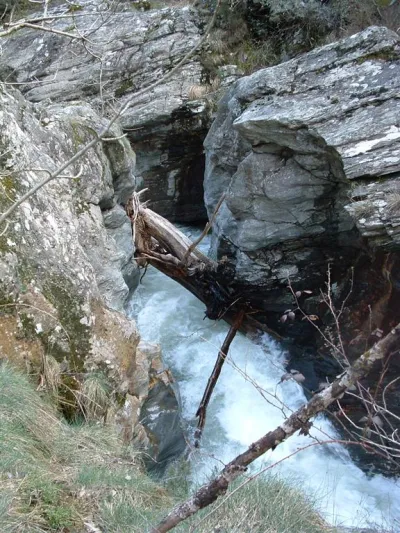 des branches ...des gorges infrans