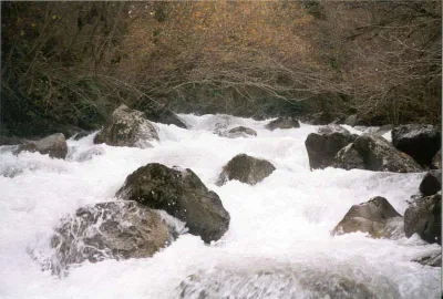 Le rapide V+ (voire infran par ce niveau) avec un très gros niveau d'eau. Nous avons porté sur 800 m ce jour la !