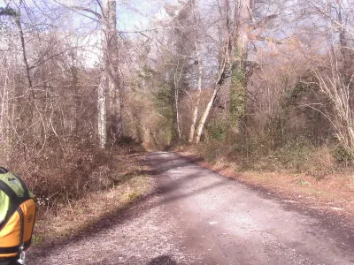 depart dans la foret

