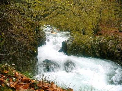 Bon passage IV dans les gorges situé juste en amont de la maisonnette ou est située l'echelle (68 cm ce jour là)