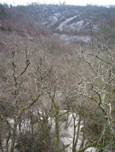 Vue du pont du Bouissas (les "Labans" en fond. Cette partie est une rivière de rocher en temps normal. Il y a donc enormément d'arbre et de rochers.