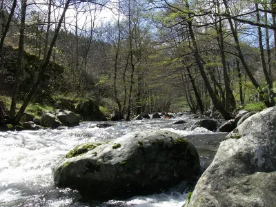 paysages champêtres