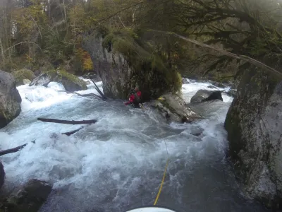 Exemple arbre dans le chaos de 200m - Nettoyé pendant la descente