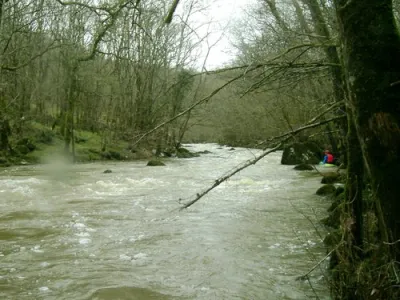 Vue générale de la rivière.