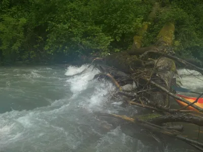 Arbre barrant la riviere, 2 petits km avant l'arrivée