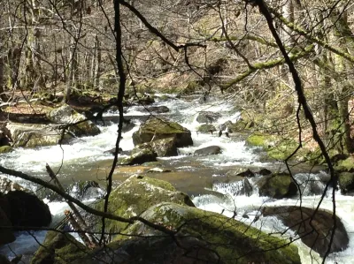 Vous avez là une idée de l'allure générale de la rivière