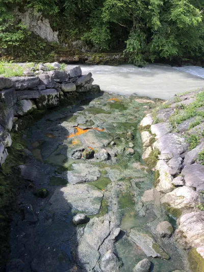 Sortie de la turbine pour calculer le niveau d'eau