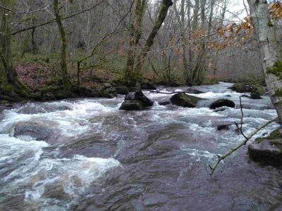 Rapide dans les gorges