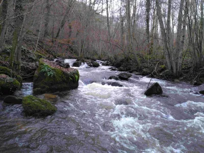 Rapide dans les gorges