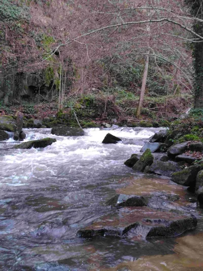 Rapide dans les gorges