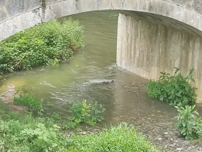 Repère de niveau à l'arrivée du P2 juste avant la confuence avec le GER. Rocher qui affleure l'eau = BE+