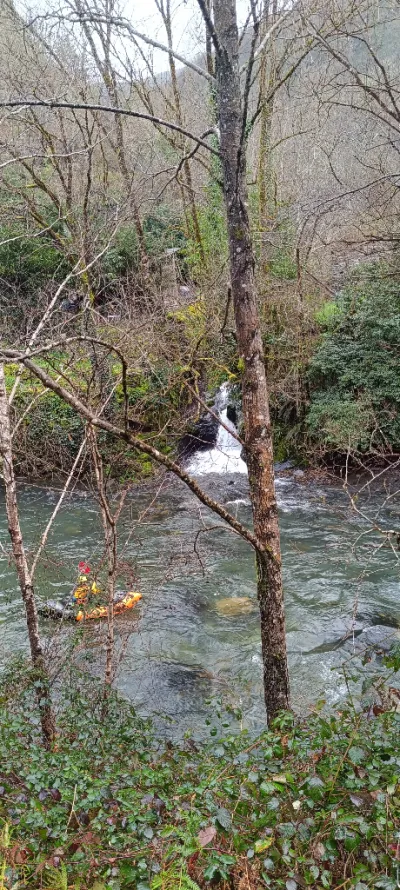 Baldomir