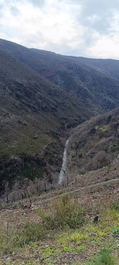 Canyon